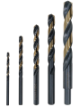 3 2500x1875 pion kolarz.png